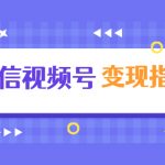 微信视频号变现指南：独家养号技术+视频制作+快速上热门+提高转化