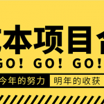 低成本零成本项目合集：赚钱快的慢的、暴利的，线上线下的，价值万元资料