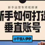 短视频课程：新手如何打造垂直账号，教你标准流程搭建基础账号（录播+直播)