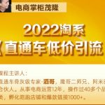 茂隆2022直通车低价引流玩法，教大家如何低投入高回报的直通车玩法